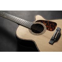 Takamine Nex Cutaway Electro P10NC - Vue 10